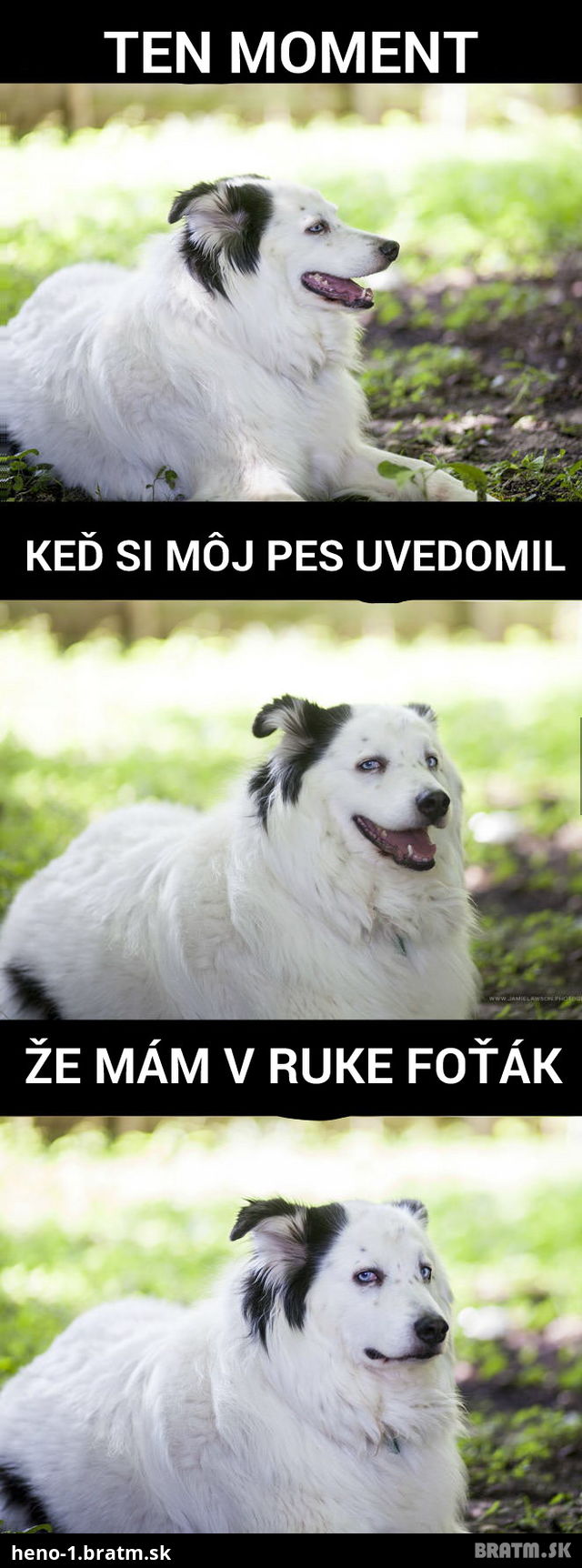 Rozkošnéééé :D