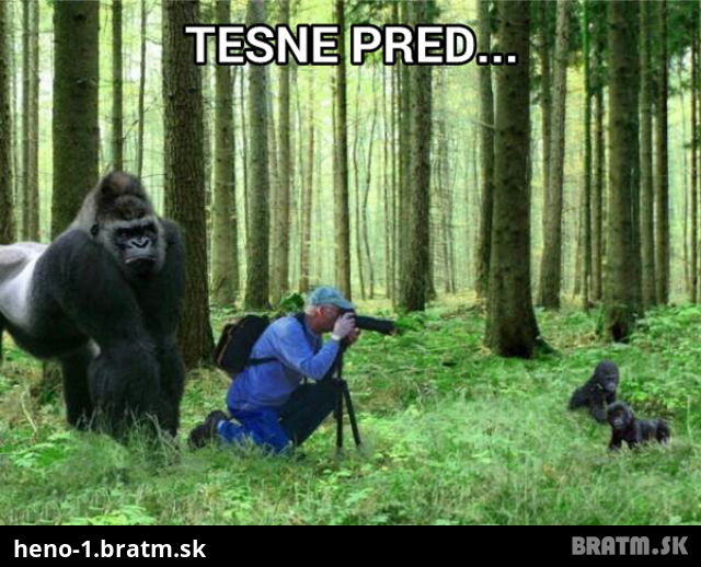 Fotka urobená tesne pred.... :D