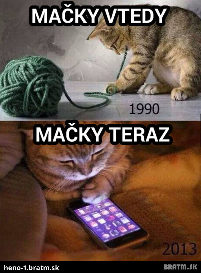 Mačky vtedy a teraz :D toto je haluz :D