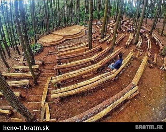 Toto je krása! Vedeli by ste si to predstaviť vo vašom lese?:D