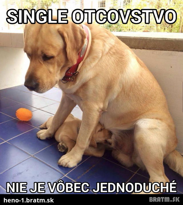 LOL toto je fail:D