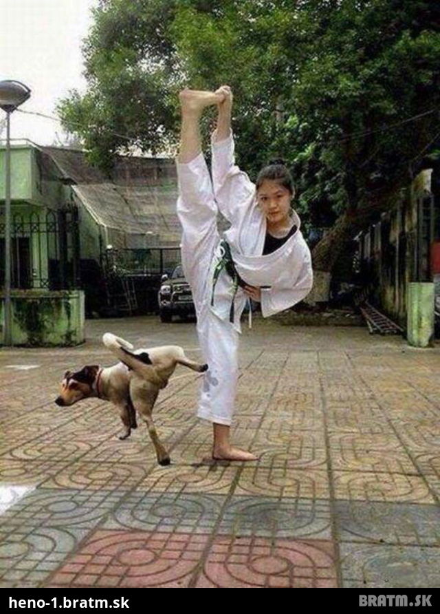Karate dog! Failik ako svet :D