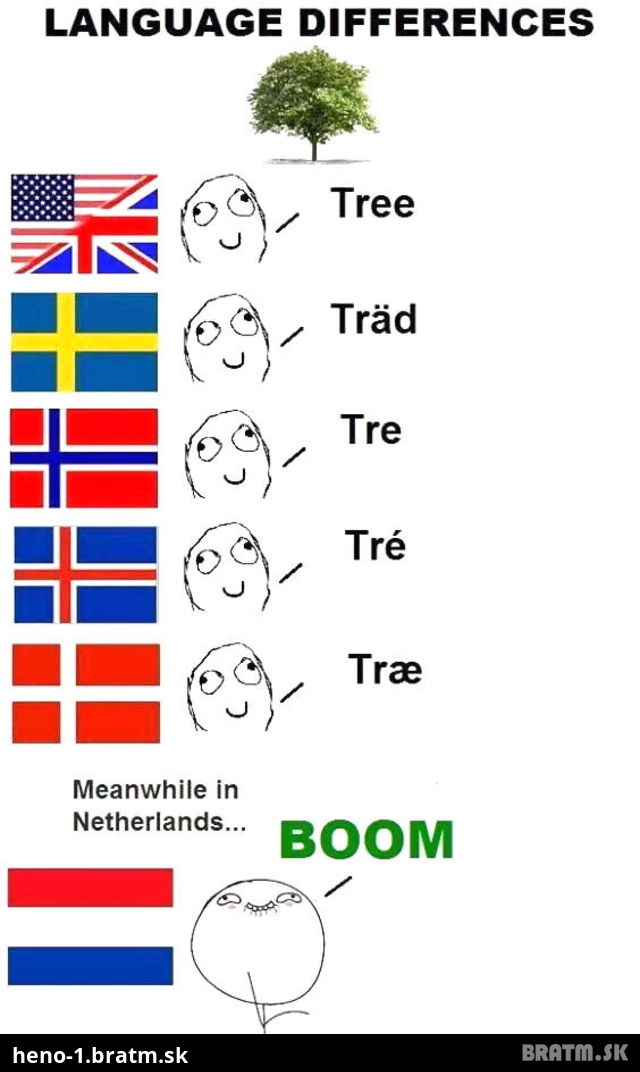 Jazykové okienko.. viete ako sa povie strom?