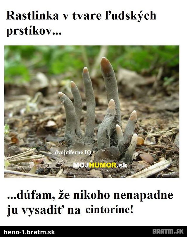 uuuuf.. viete si predstavit takto niekoho nastrašiť?:D