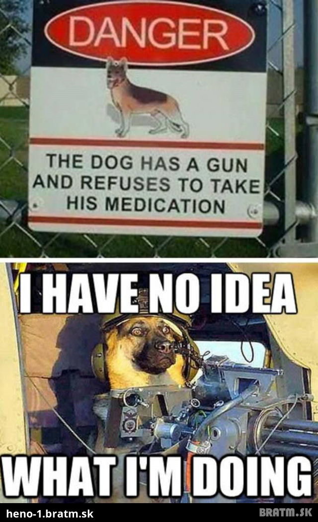 Pes so zbraňou? Tu niečo nehra :D