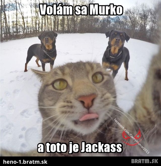 Volám sa Murko :D