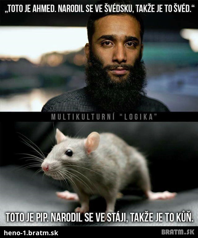 Toto je Ahmed....