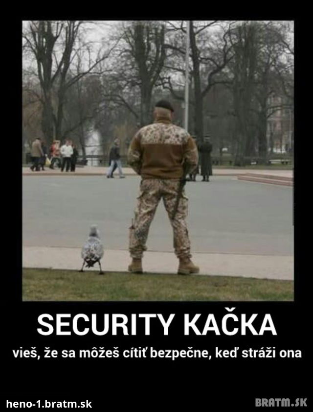 Videli ste už security kačku ?:D