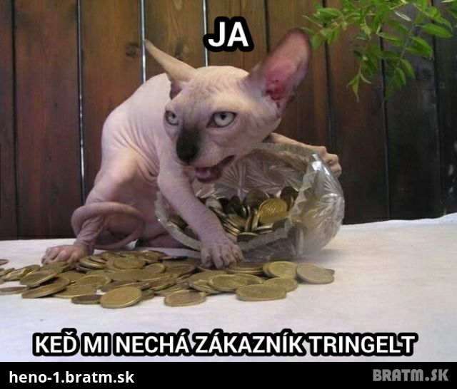 Brigadujete počas leta?:D Tu je niečo pre vás :D