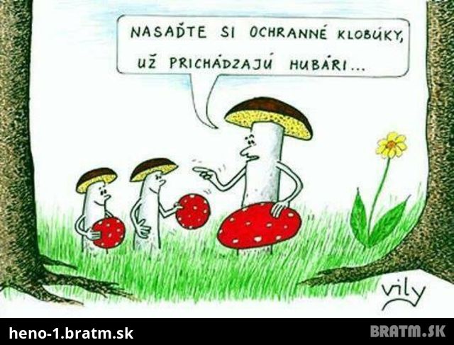 Je čas hubárčenia.. a tu je vtipný komix :D