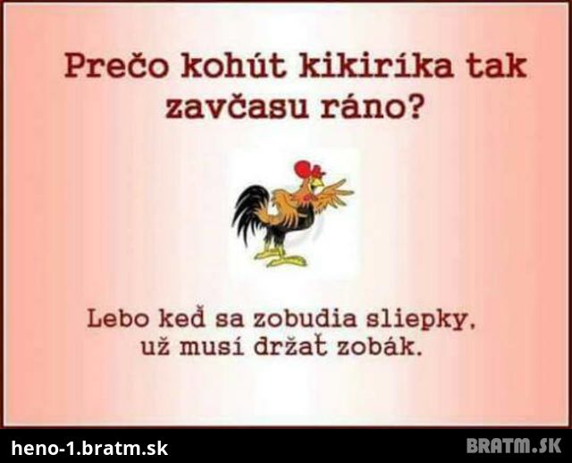 Prečo kohut kikiríka?:D