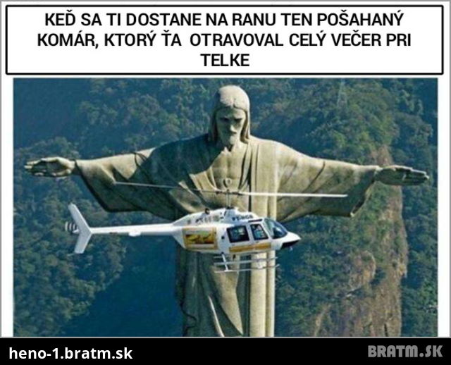 Vrrr.. komáááre...aj vás otravujú tak toto leto???