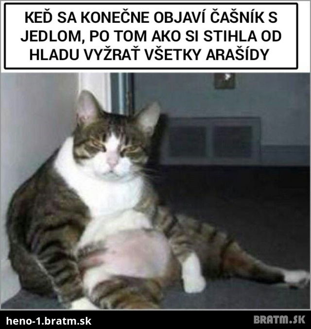 Neznášam dlhé čakanie na jedlo v reštike... a čo vy?