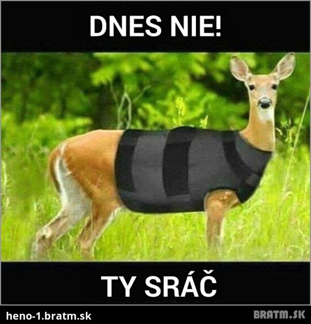 Dnes nezomieraj! :D Skvelý obrázok na pobavenie :D