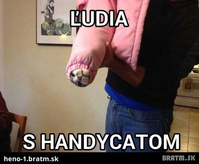 Viete čo je to HANDYCAT???
