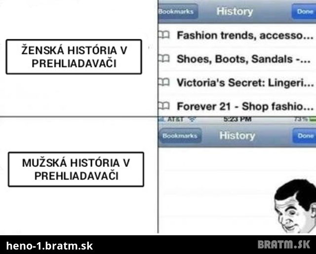 Rozdiel medzi mužskou a ženskou históriou v prehliadavači :D