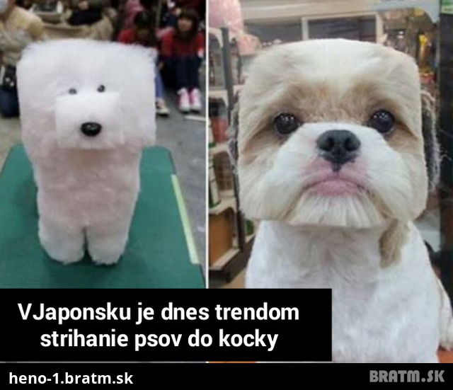 Choré na hlavu? Toto je najnovší trend v Japonsku ...