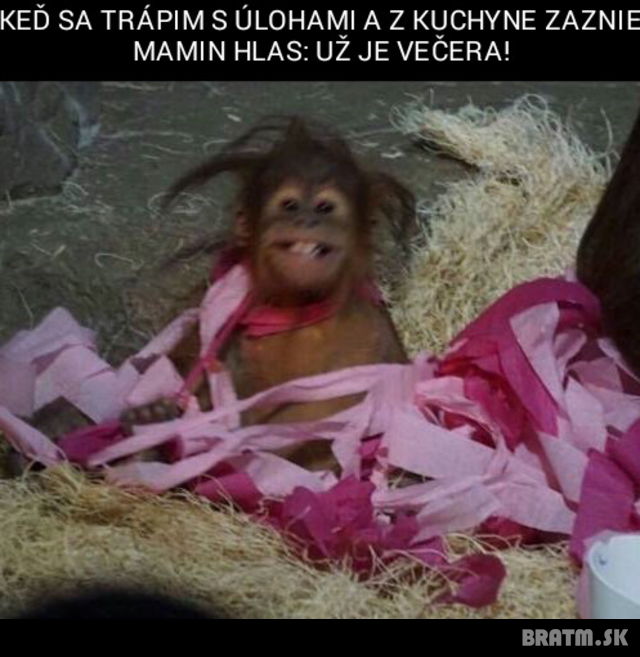 Domáce úlohy VS večera:D