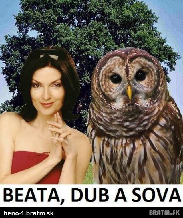 Zoznámte sa! Toto je Beata Dub a Sova :D