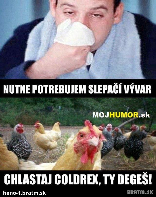 Jeseň a choroby sú tu. Ak si chorý tak si daj vývar.. ale čo na to sliepky?:D