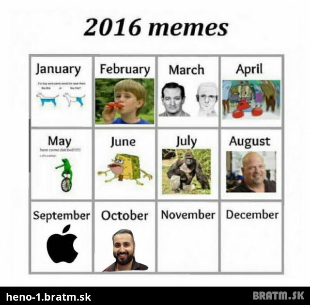 Meme roku 2016