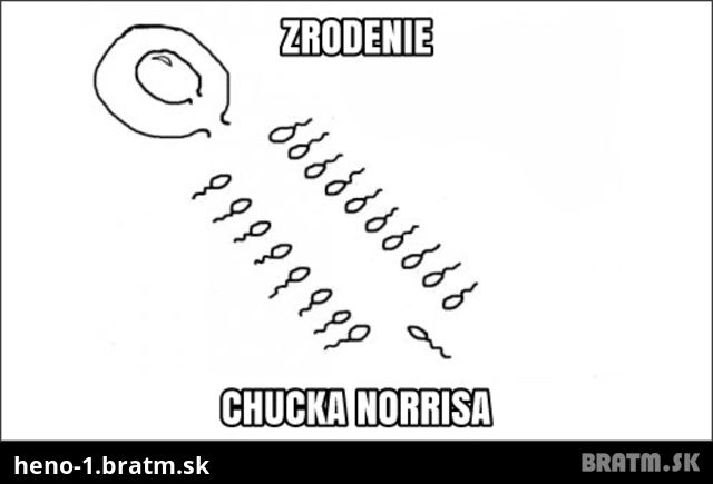 Takto sa zrodil Chuck Norris