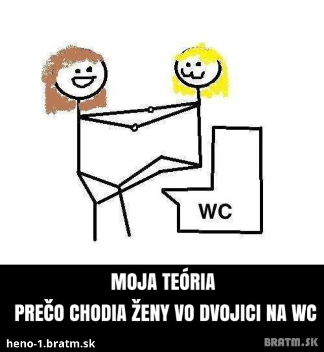 Moje teória prečo chodia ženy vo dvojici na záchod :D