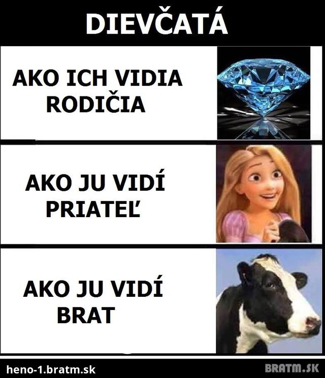 Dievčatá, ako ich vidí moje okolie :D