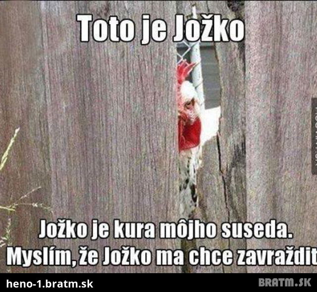 Poznáte Jožka? Naj-akčnejšieho kohúta na internete :D