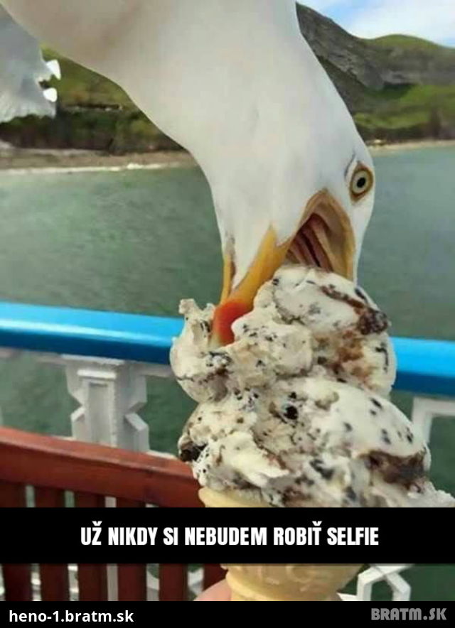 Dôvod prečo by si si nikdy nemal robiť selfie so zmrzlinou :D