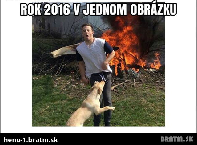 Rok 2016 v jednej foto)! :D