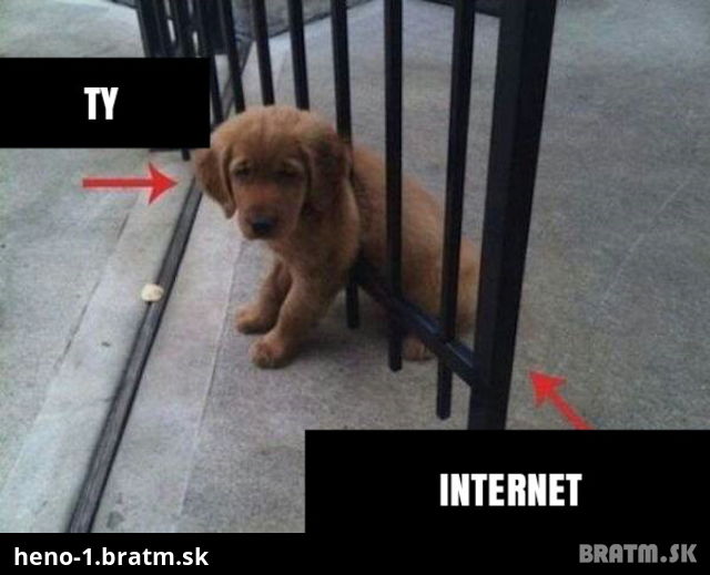 Ty VS internet