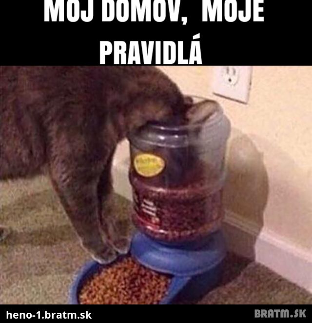 Moj sve moje pravidla :PD