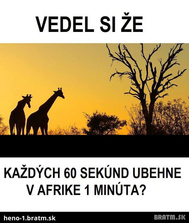 Vedeli ste že.... :D