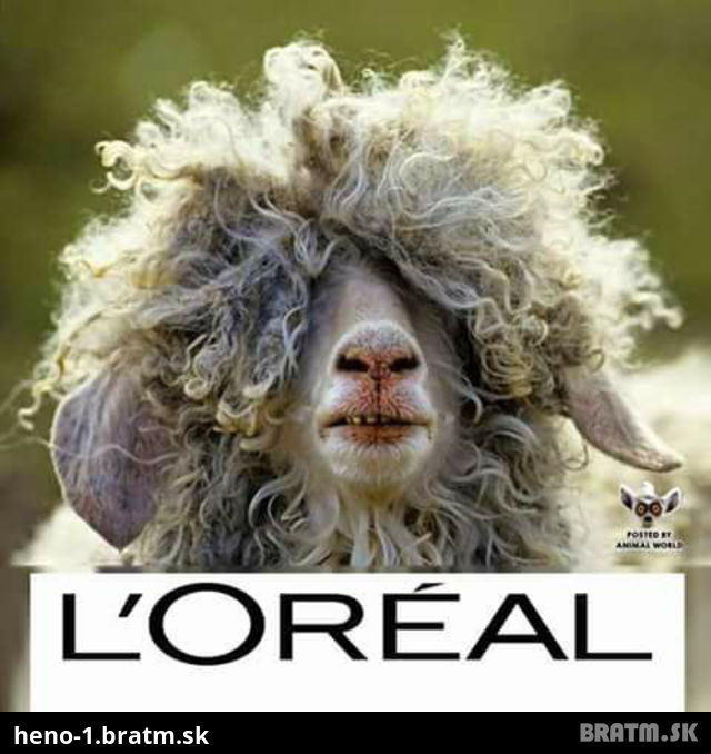 Loreal z pasienok :D