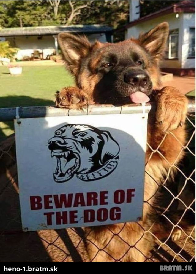 Takto vyzerá drsný strážny psík :) jjjeeeejjj