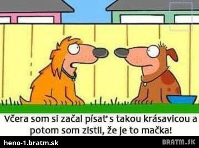 Ked sa rozpravaju dvaja psici :D