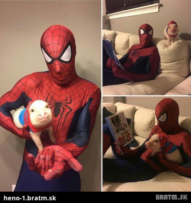 Spider pig :D