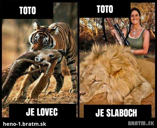 Lovec Vs slaboch