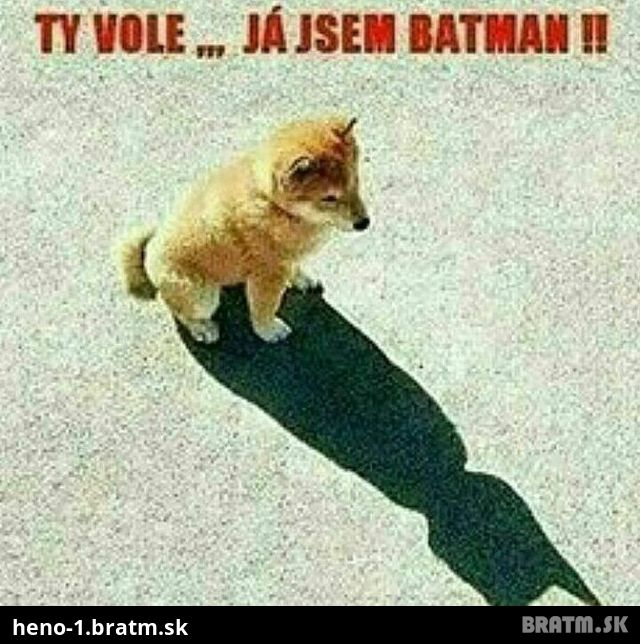 Batman :D