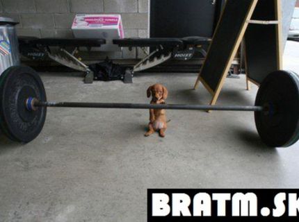A koľko krát to mám dvihnúť?