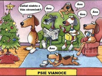 Psie Vianoce :D