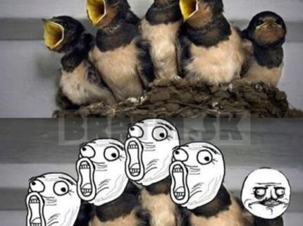 Memebirds :D