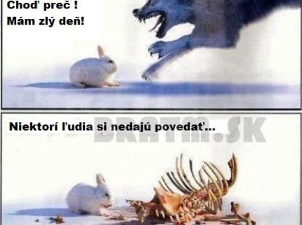 Neser tigra :)