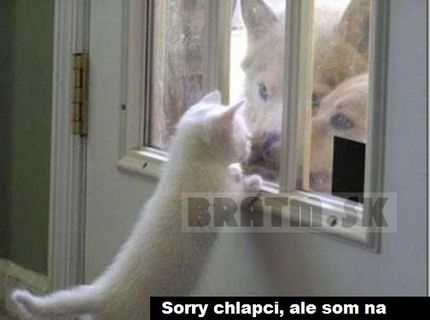 Chaloši máte smolu ! :D