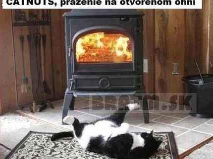 Tajomstvo šefkuchára