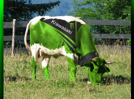 Že Krawasaki :)
