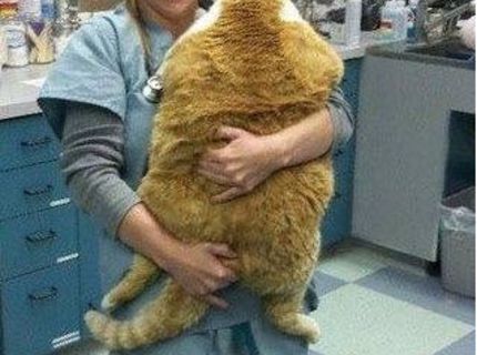 Kto chce na zahriatie?:D
