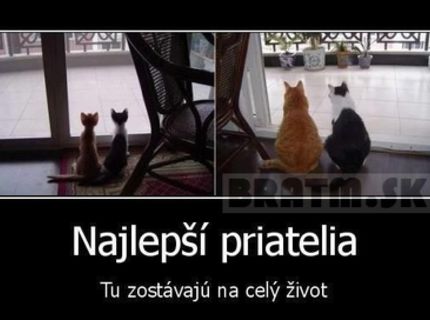 Peknééé...a pravdivé :)
