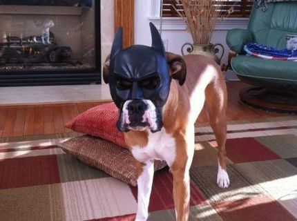 Batman.. zlaté :)